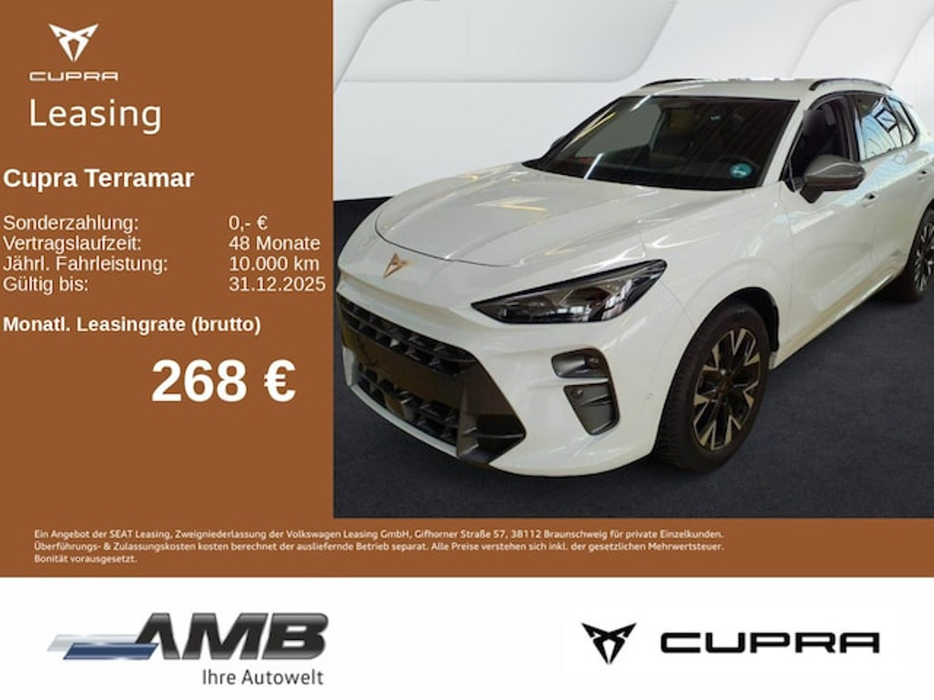 Cupra Terramar 2025 Benzine