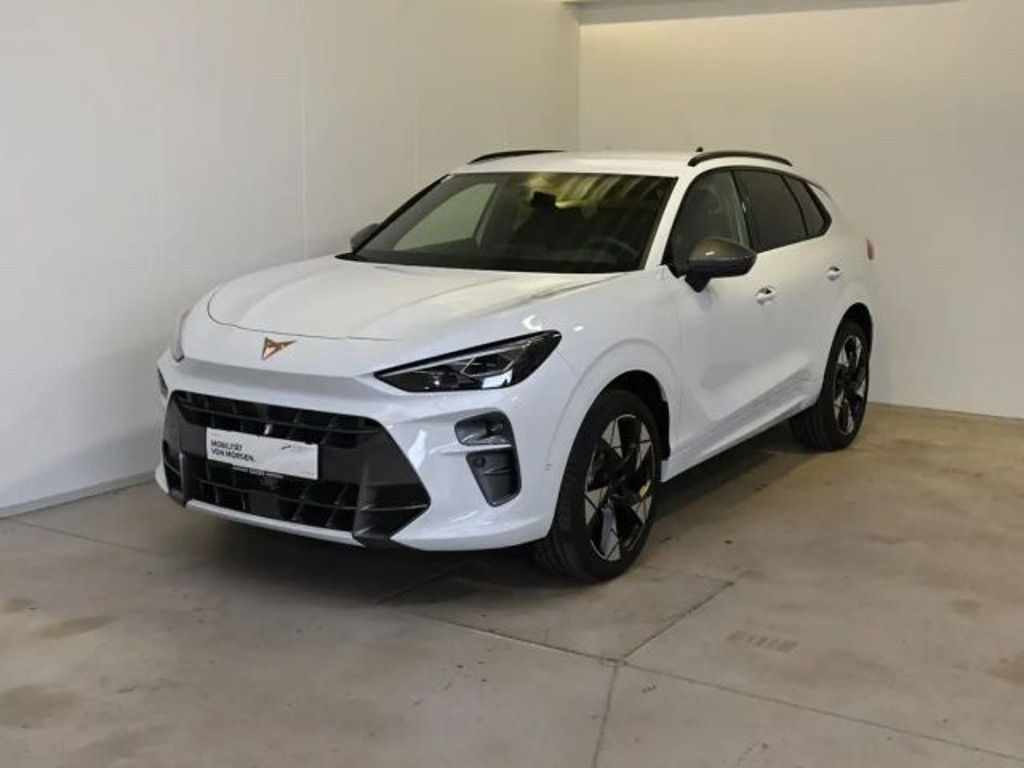 Cupra Terramar 2025 Benzine