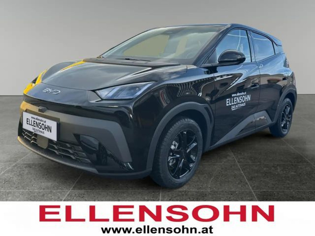 BYD Dolphin Surf 2025 Elektrisch