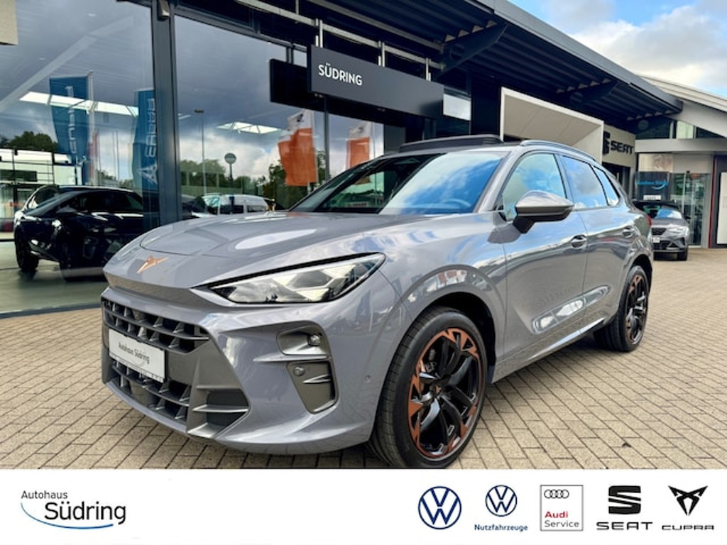 Cupra Terramar 2024 Benzine