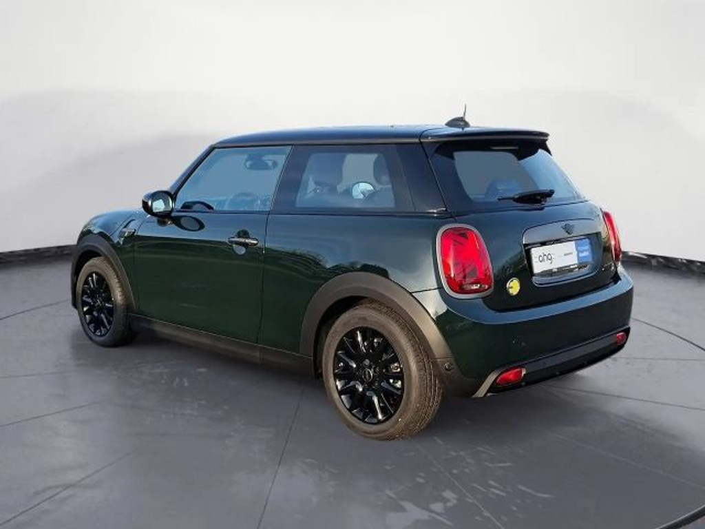 Mini Mini Electric
