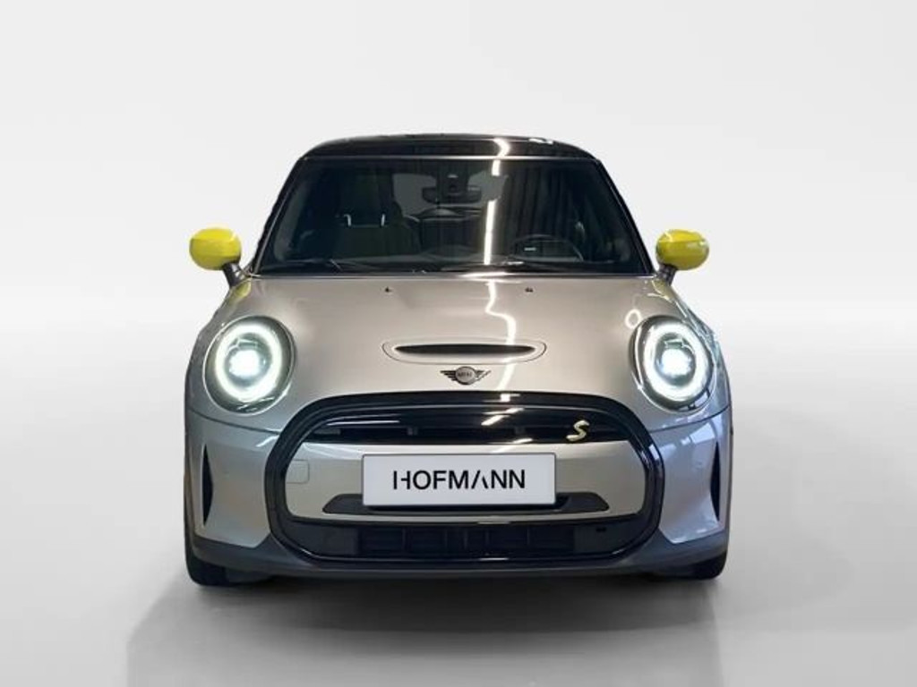Mini Mini Electric