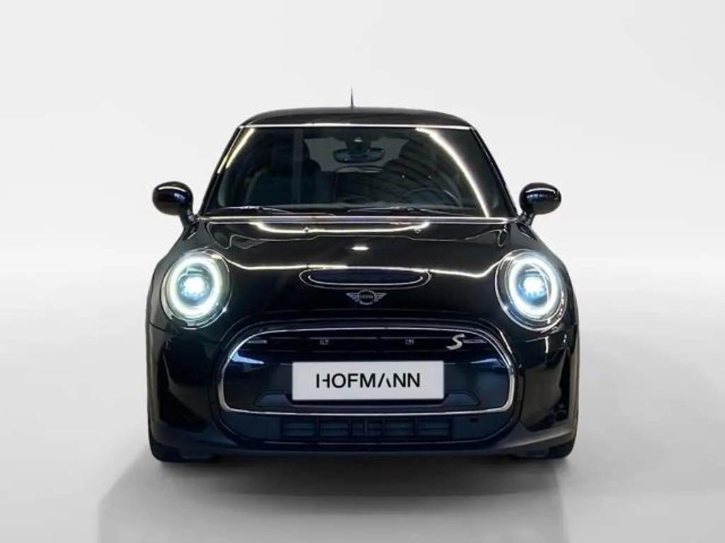 Mini Mini Electric