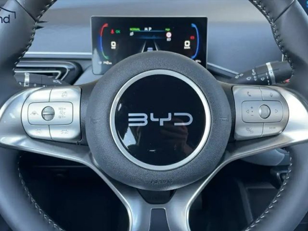 BYD Dolphin Surf