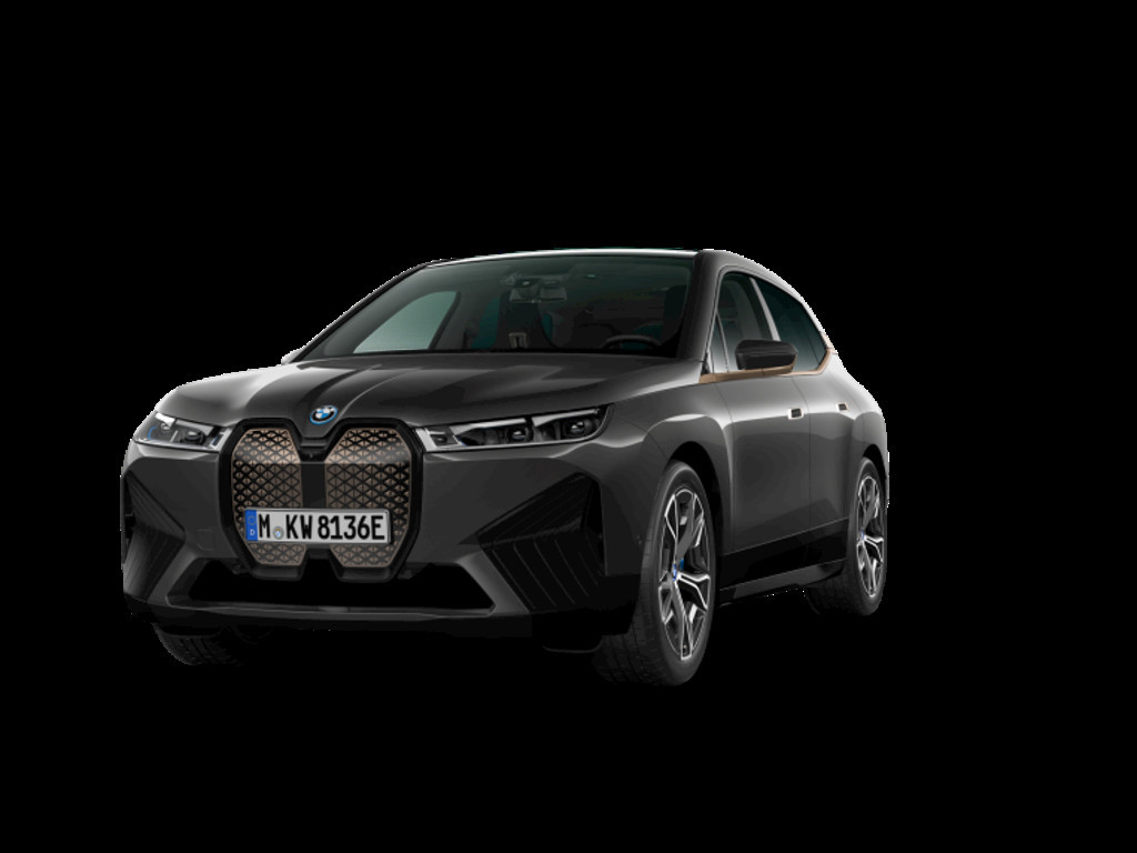 BMW iX