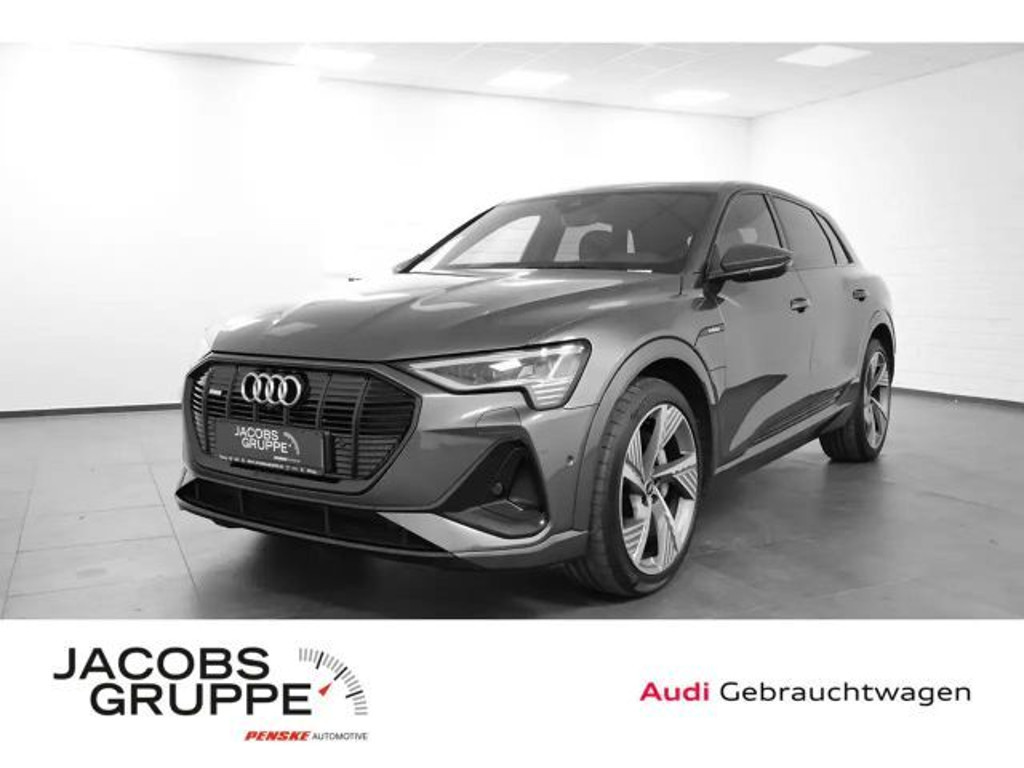 Audi e-tron 2021 Elektrisch
