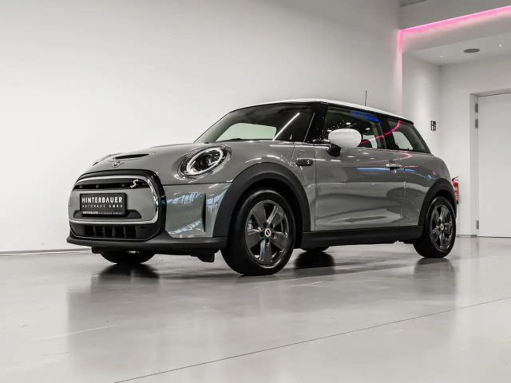 Mini Mini Electric