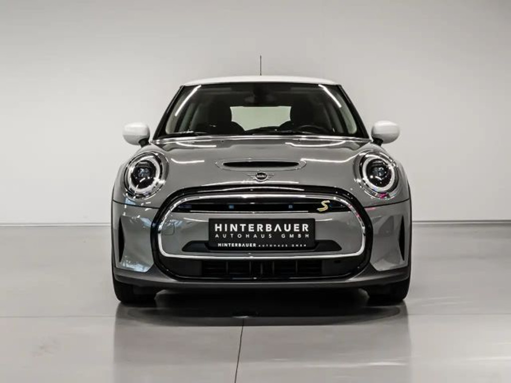 Mini Mini Electric