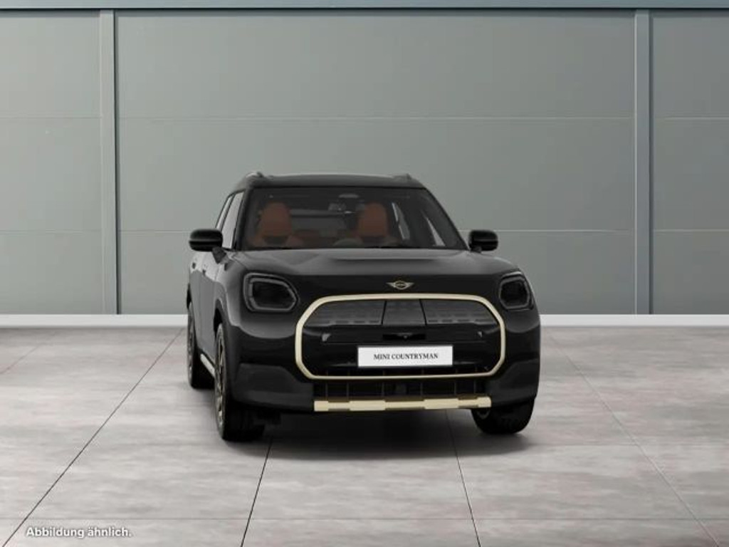 Mini Countryman E
