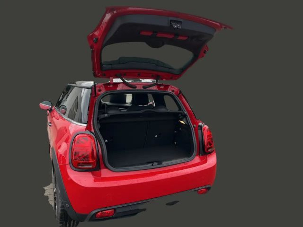 Mini Mini Electric