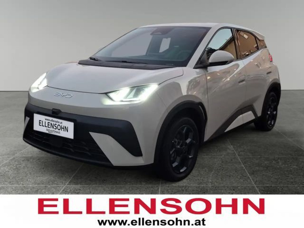 BYD Dolphin Surf 2026 Elektrisch