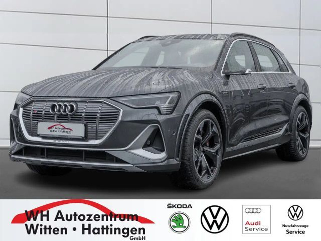 Audi e-tron 2021 Elektrisch