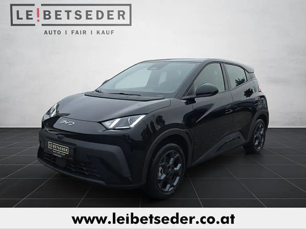 BYD Dolphin Surf 2026 Elektrisch