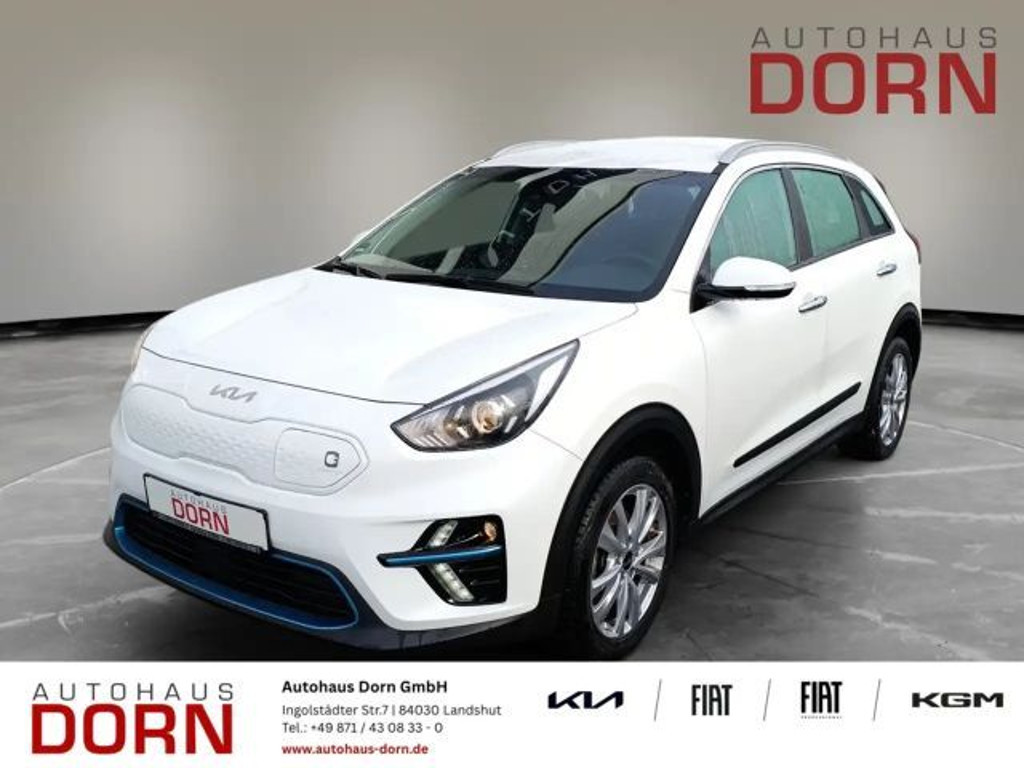 Kia Niro 2021 Elektrisch