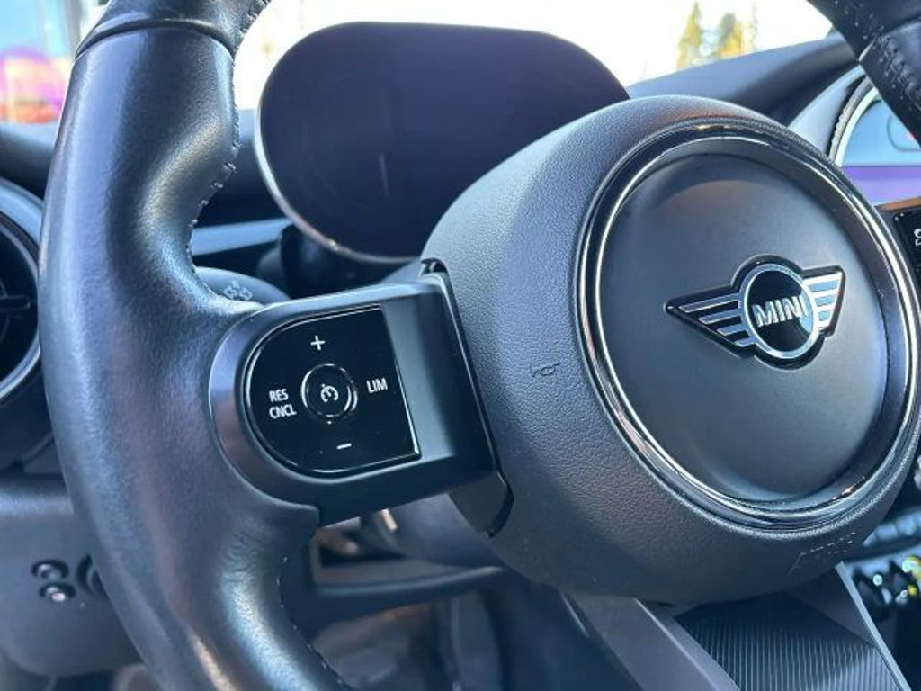 Mini Mini Electric