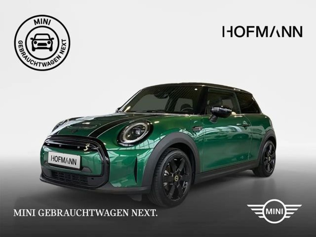 Mini Mini Electric