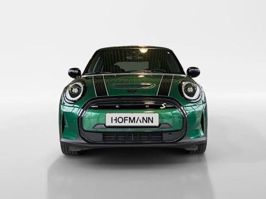 Mini Mini Electric