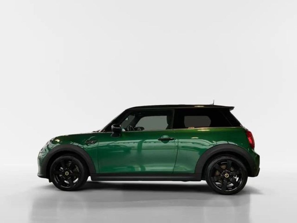 Mini Mini Electric
