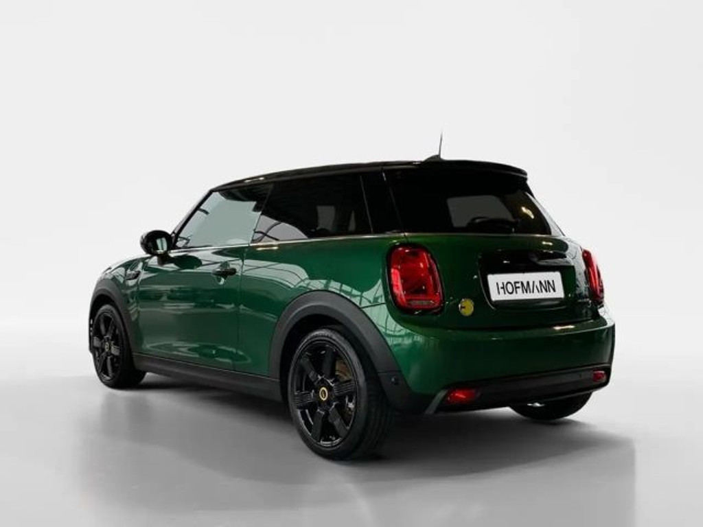 Mini Mini Electric
