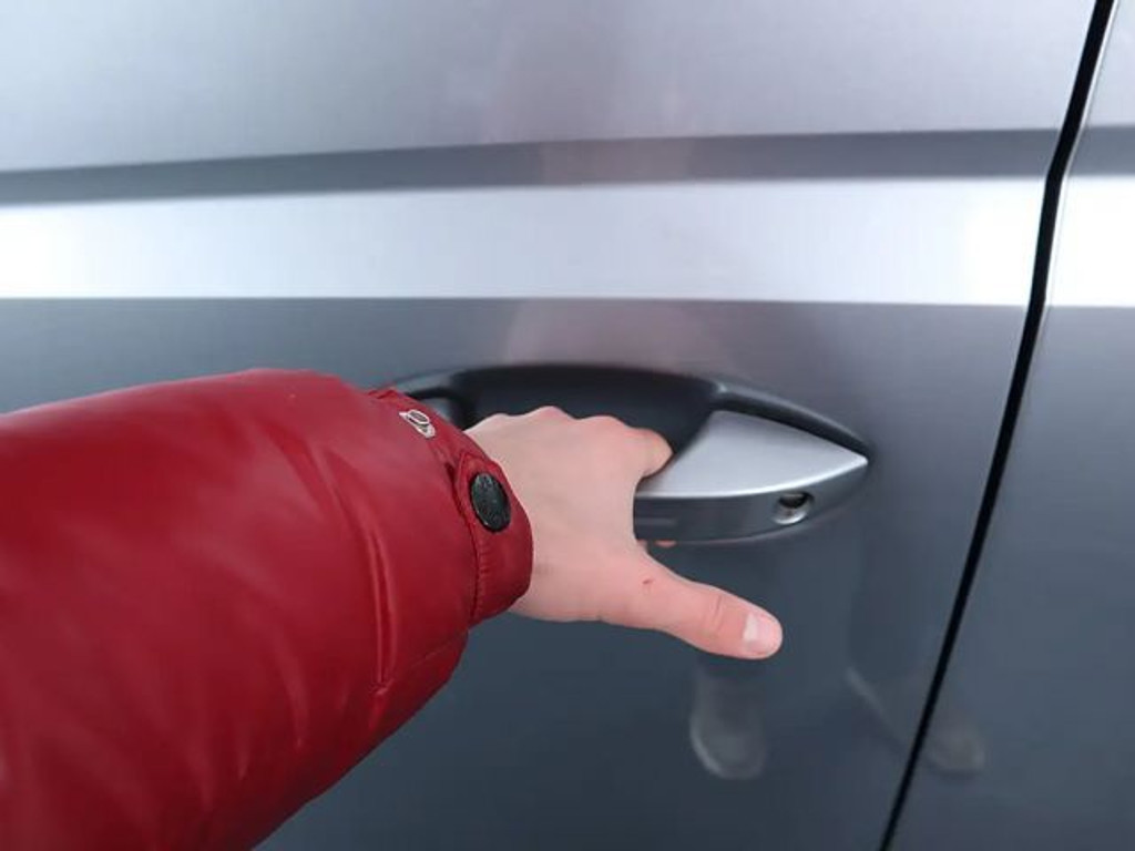 Volkswagen ID. Buzz Cargo