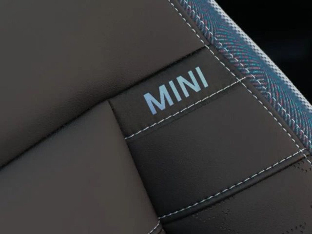 Mini Mini Electric