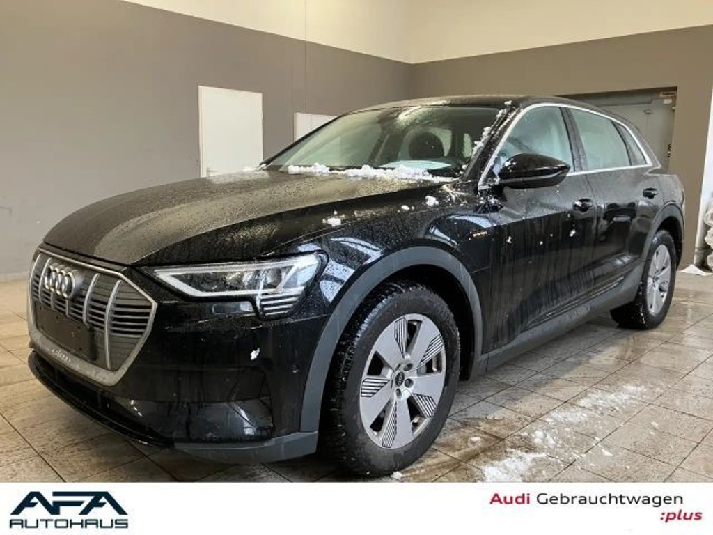 Audi e-tron 2022 Elektrisch