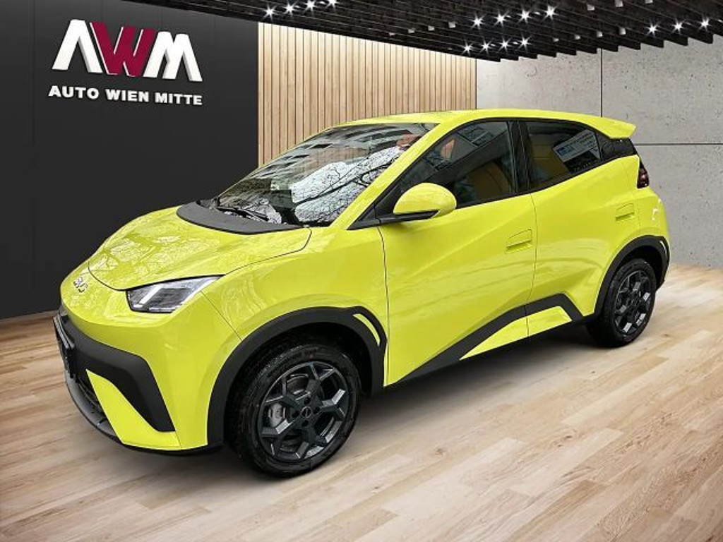 BYD Dolphin Surf 2026 Elektrisch