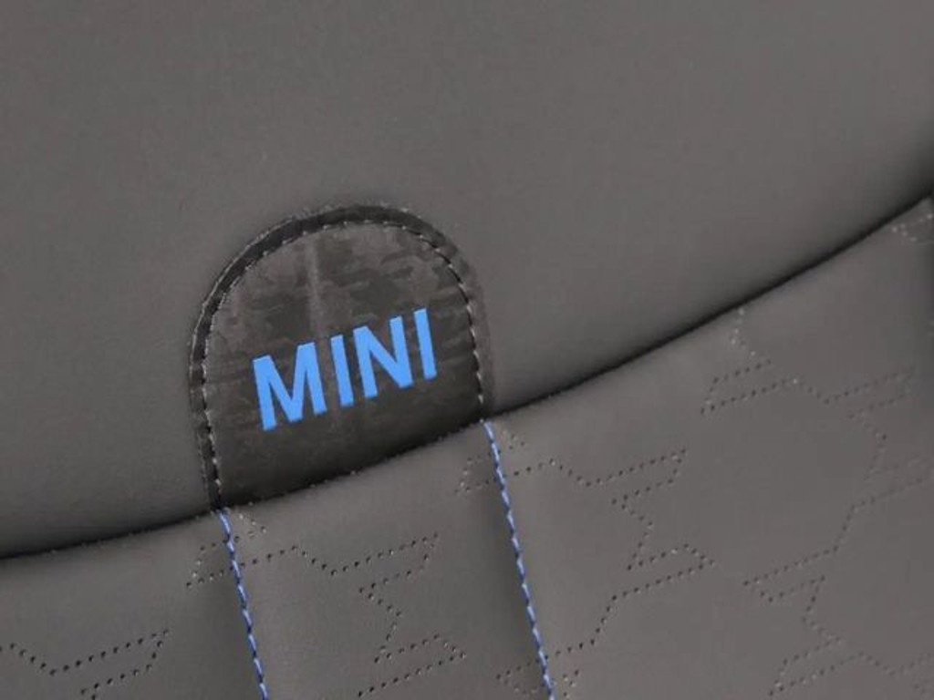 Mini Countryman E