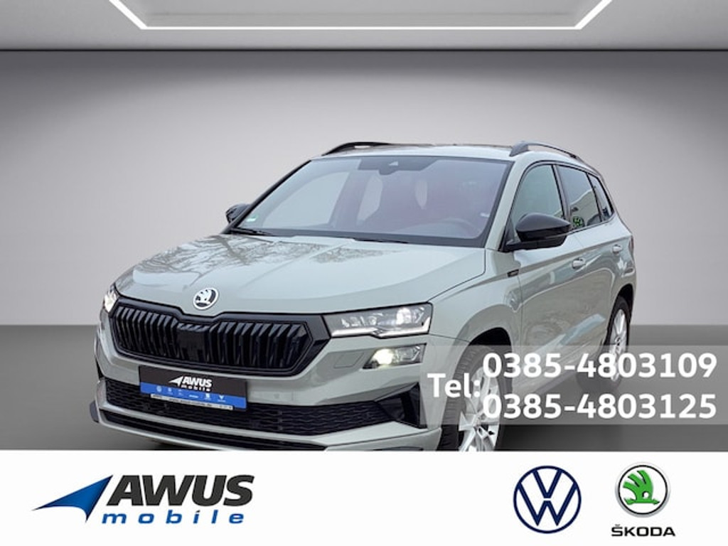 Skoda Karoq 2024 Benzine