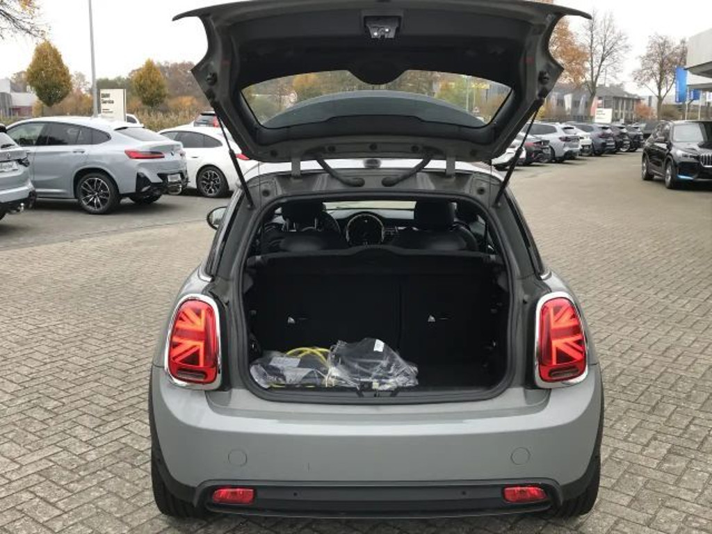 Mini Mini Electric
