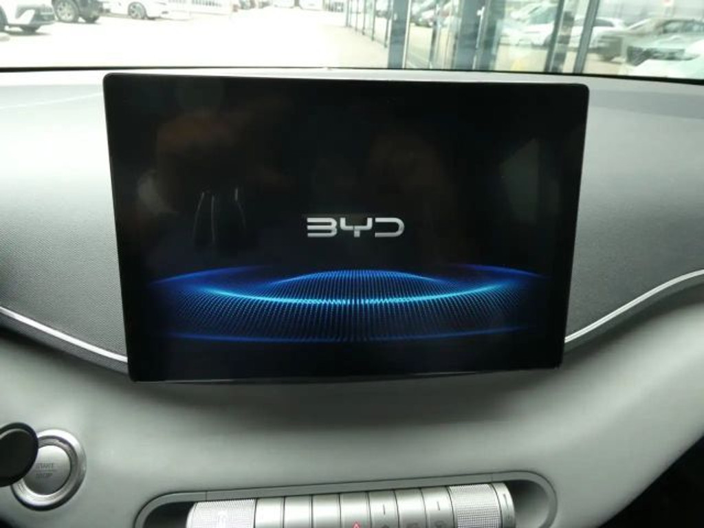 BYD Dolphin Surf