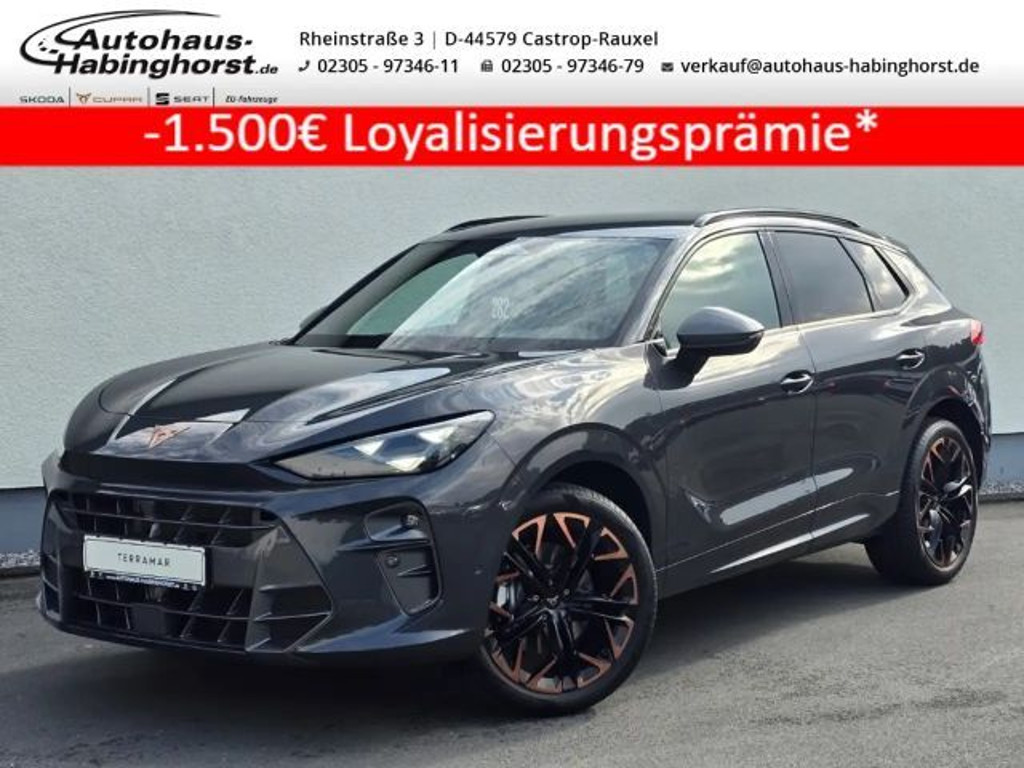 Cupra Terramar 2025 Benzine