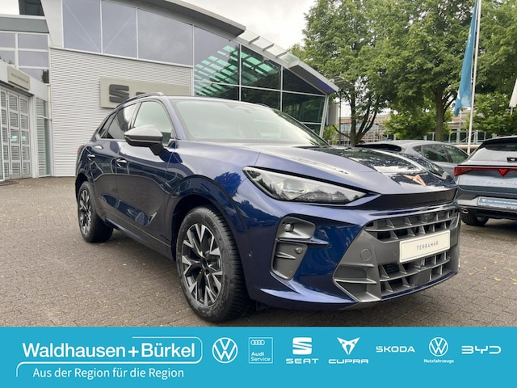 Cupra Terramar 2025 Benzine