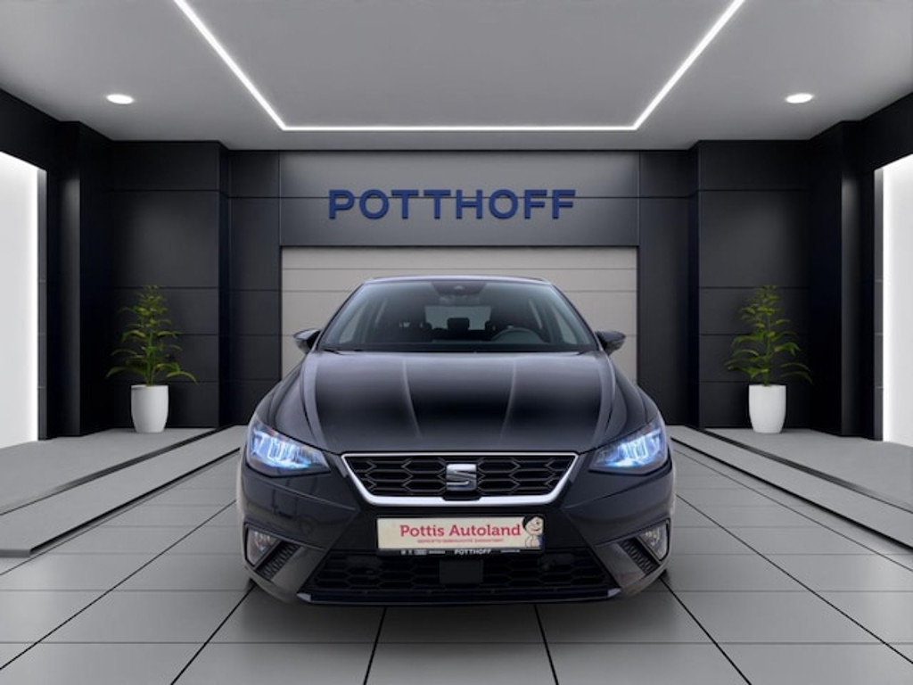 Seat Ibiza