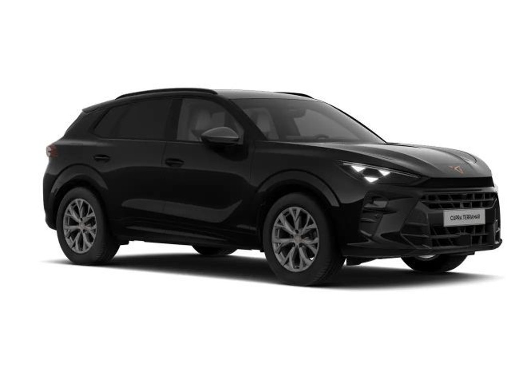 Cupra Terramar 2026 Benzine