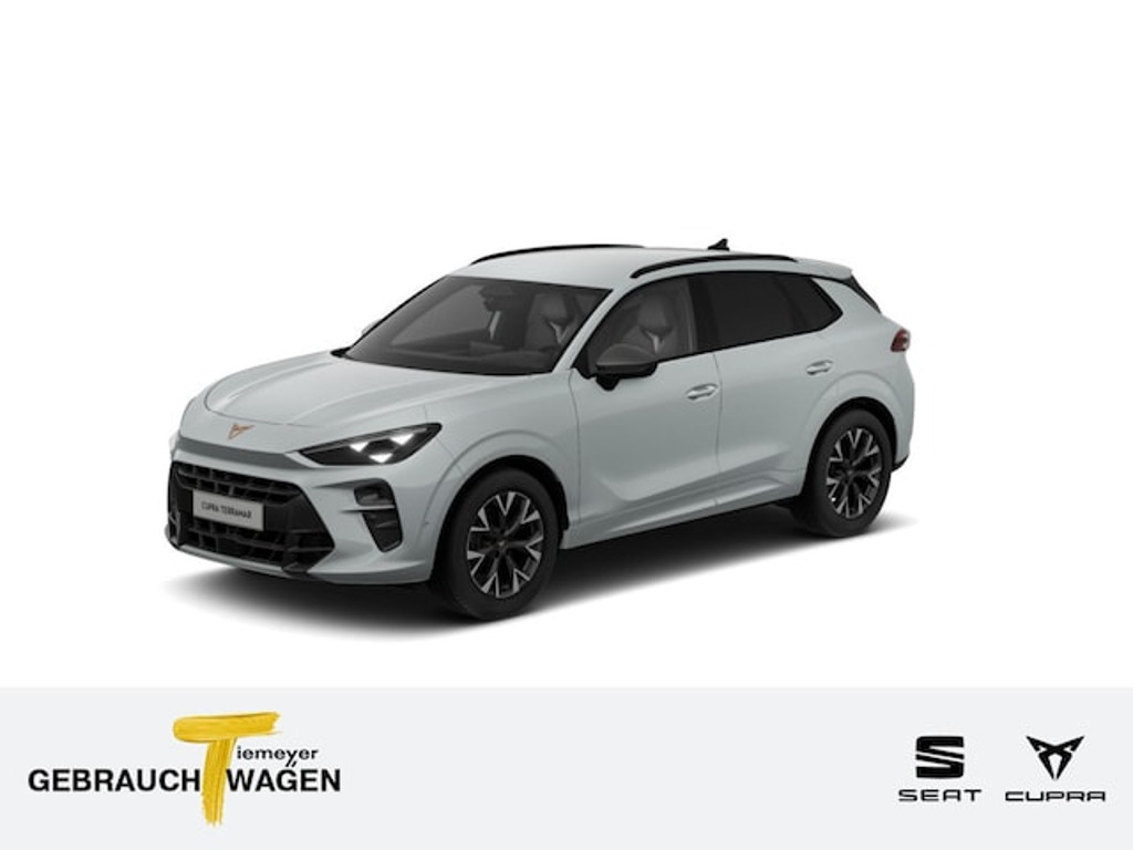 Cupra Terramar 2025 Benzine