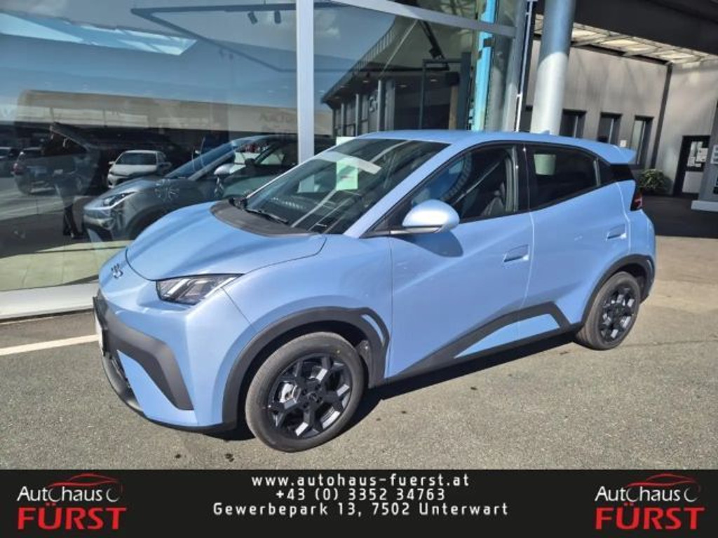 BYD Dolphin Surf 2026 Elektrisch