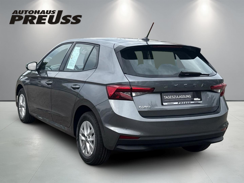 Skoda Fabia