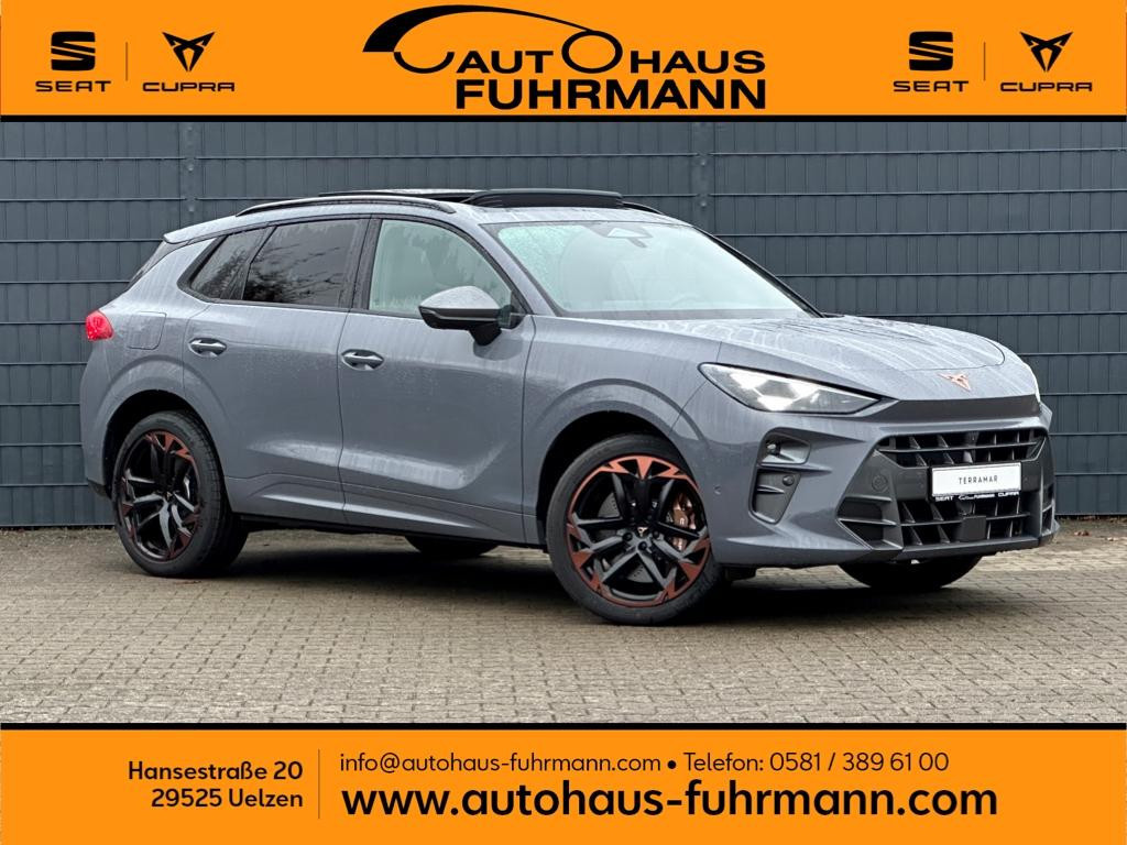 Cupra Terramar 2024 Benzine