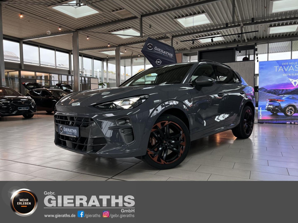 Cupra Terramar 2024 Benzine