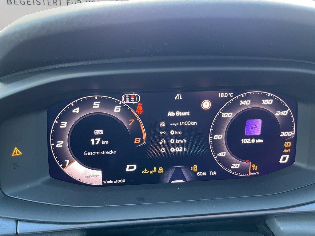 Cupra Terramar