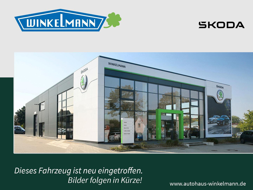 Skoda Fabia 2025 Benzine
