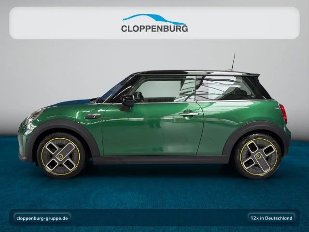 Mini Mini Electric