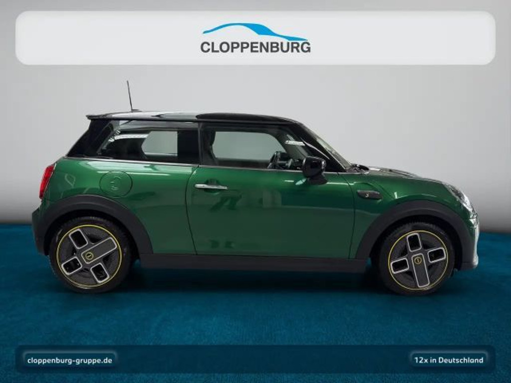 Mini Mini Electric