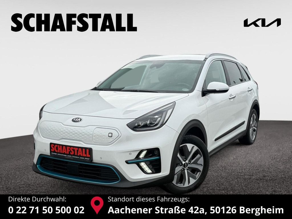 Kia Niro 2021 Elektrisch