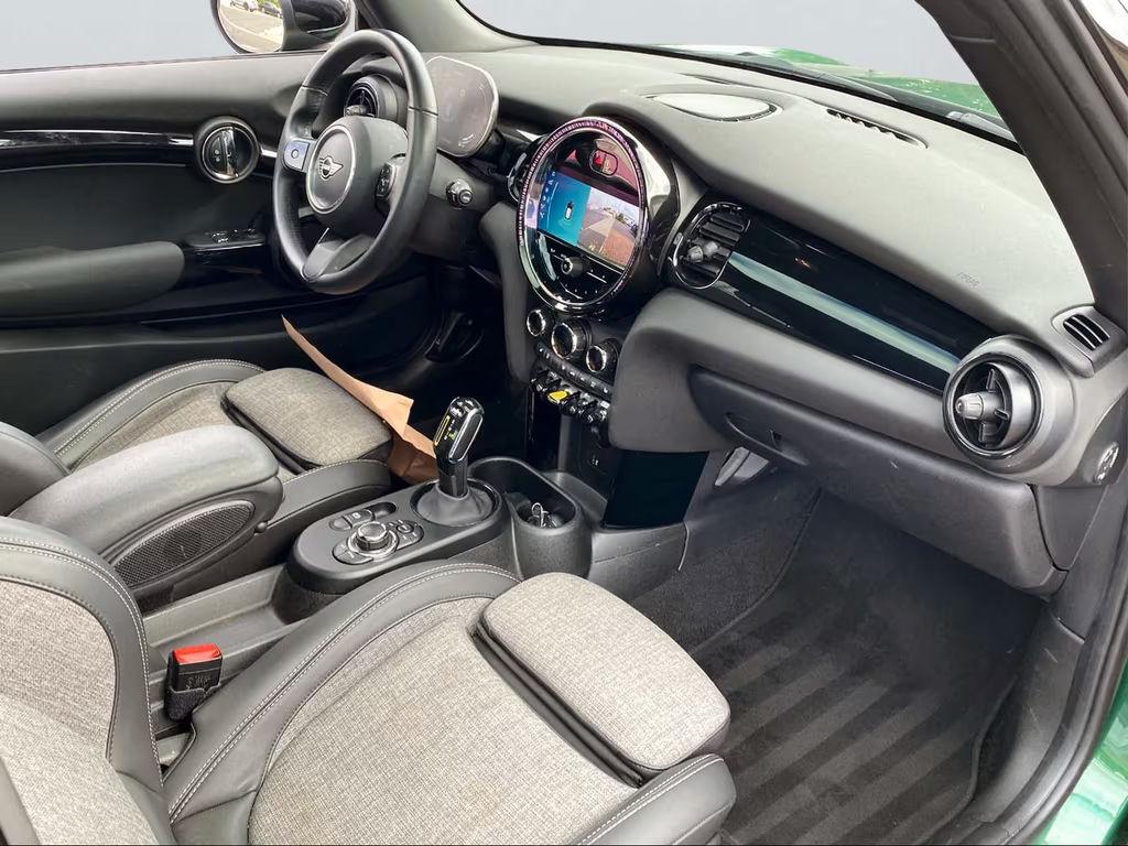 Mini Mini Electric