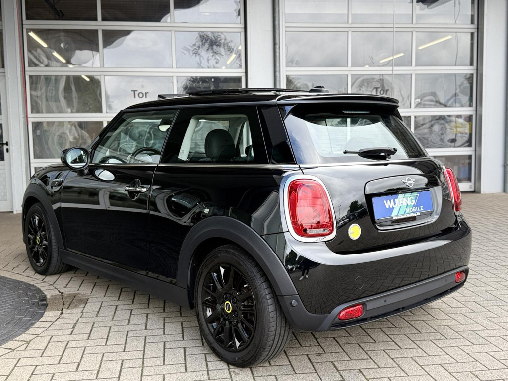 Mini Mini Electric