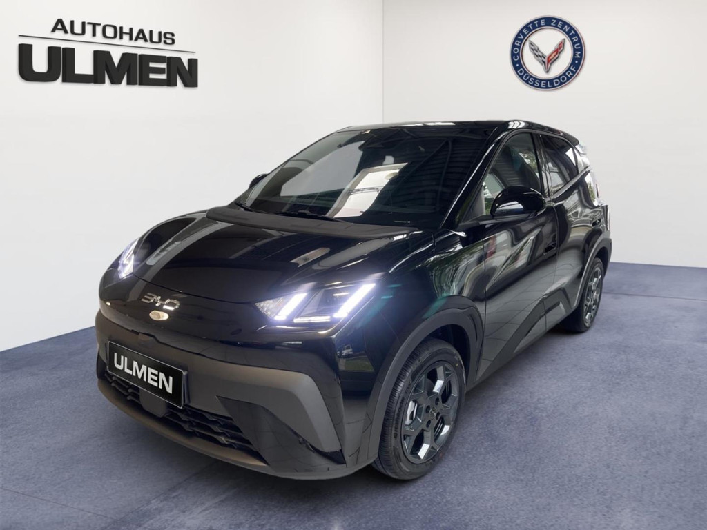 BYD Dolphin 2025 Elektrisch