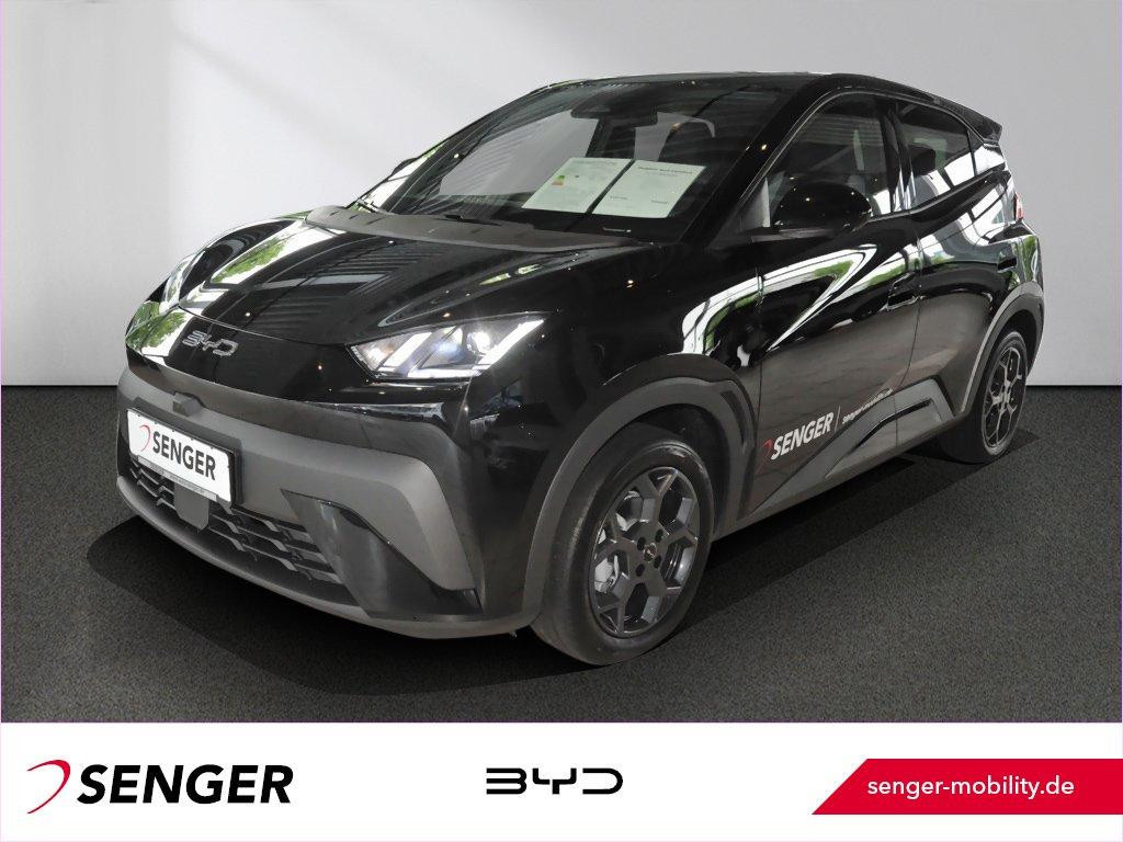 BYD Dolphin 2025 Elektrisch