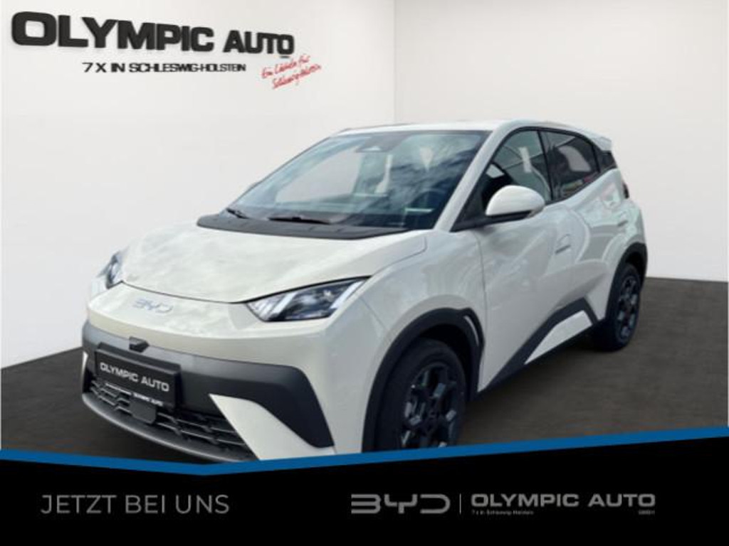 BYD Dolphin 2025 Elektrisch